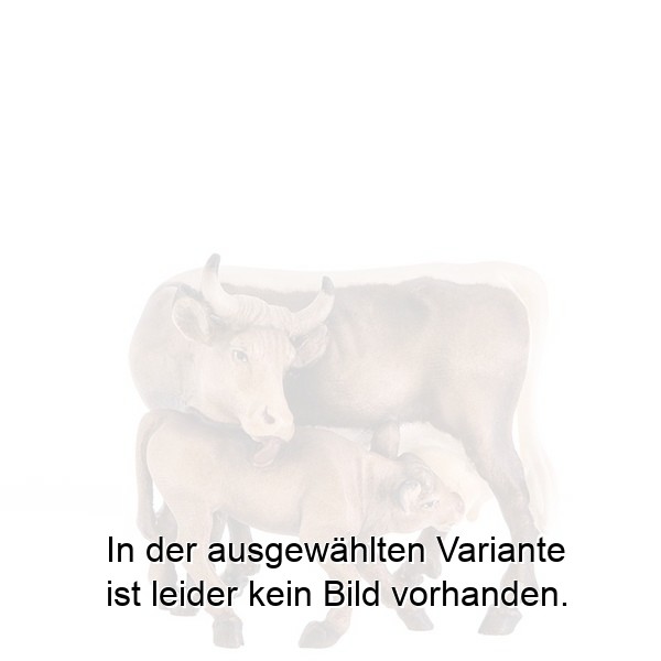 Kuh mit Kalb Kuh mit Kalb