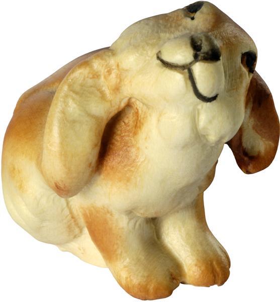 Hasenjunge Backe kratzend Hasenjunge Backe kratzend