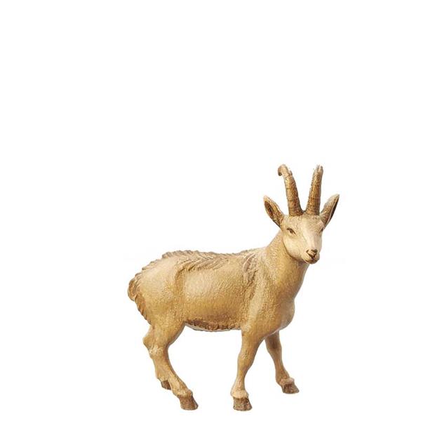Gemsbock