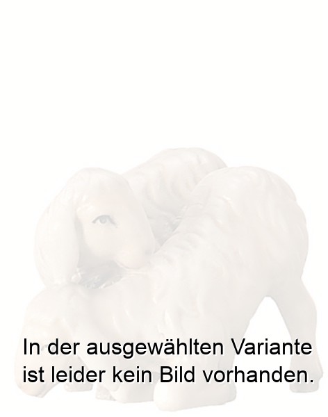 Lämmerpaar