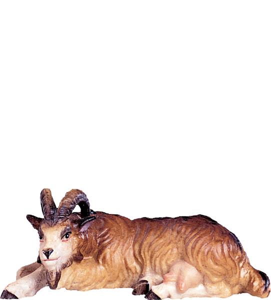 Ziege liegend Ziege liegend