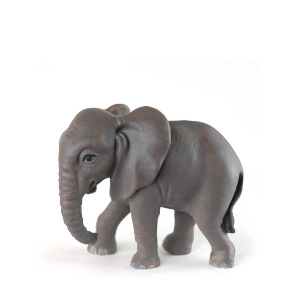 Baby Elefant stehend Baby Elefant stehend