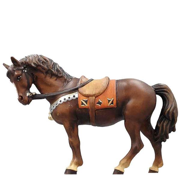 Pferd dunkelbraun Pferd dunkelbraun