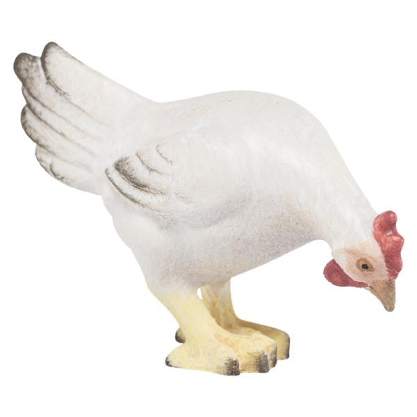 Weiße Henne pickend Weiße Henne pickend