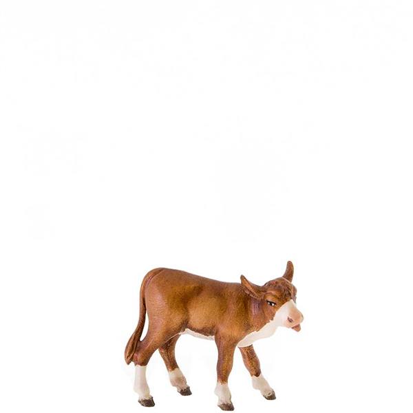 Leckendes Kalb Leckendes Kalb