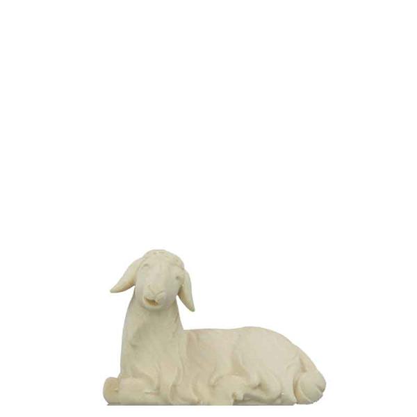 Schaf liegend Schaf liegend