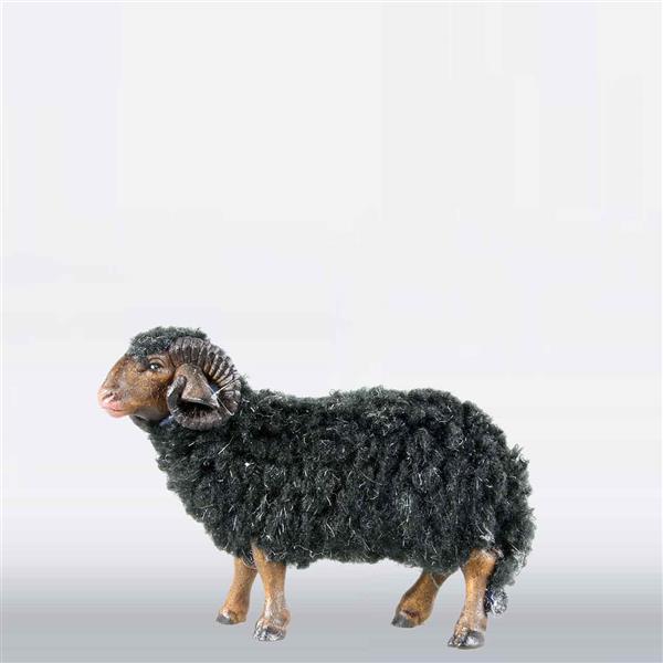 Schafbock mit Wolle schwarz