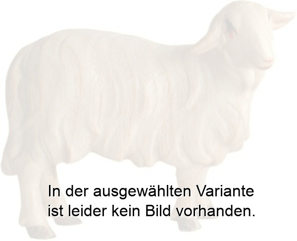 Schaf stehend links