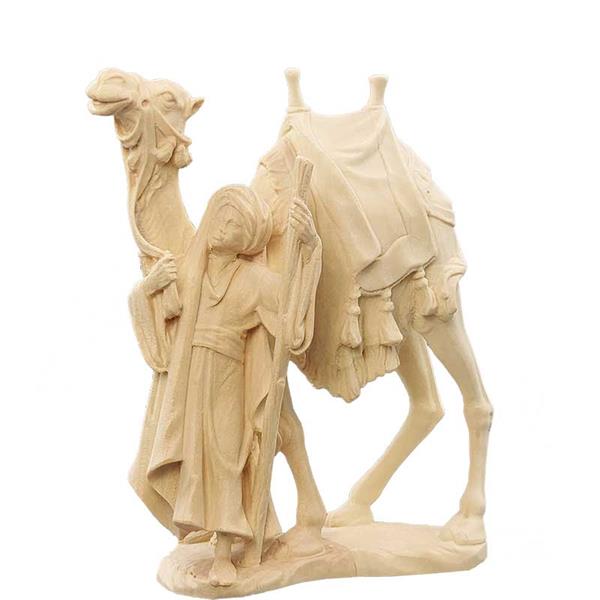 Kameltreiber Kameltreiber