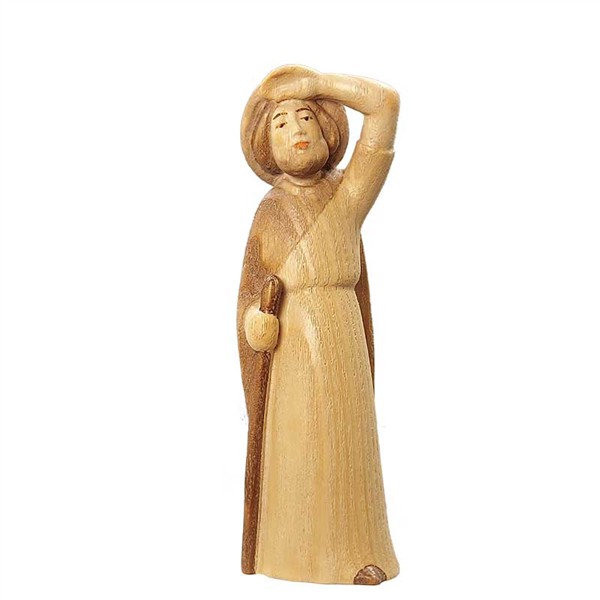 Hirt schauend Hirt schauend