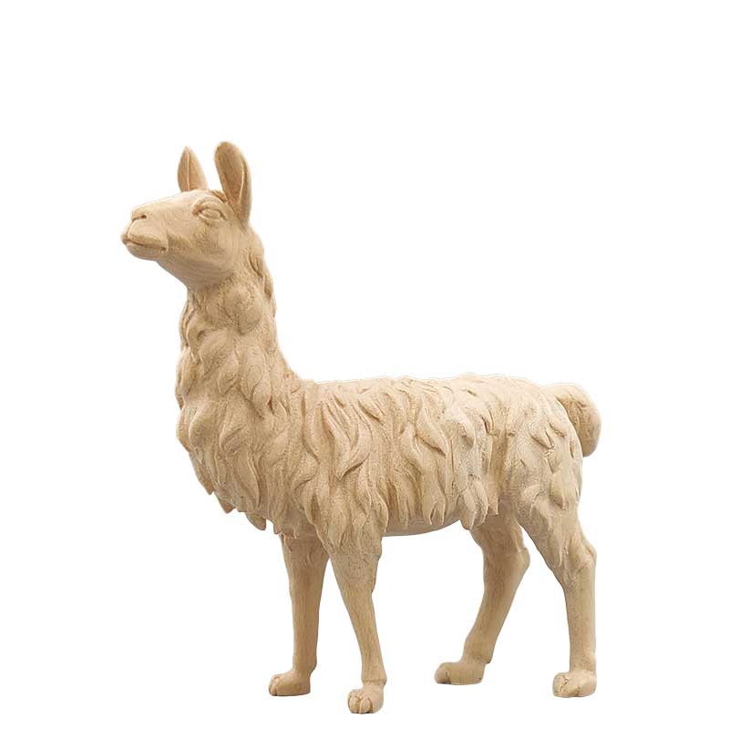 Lama
