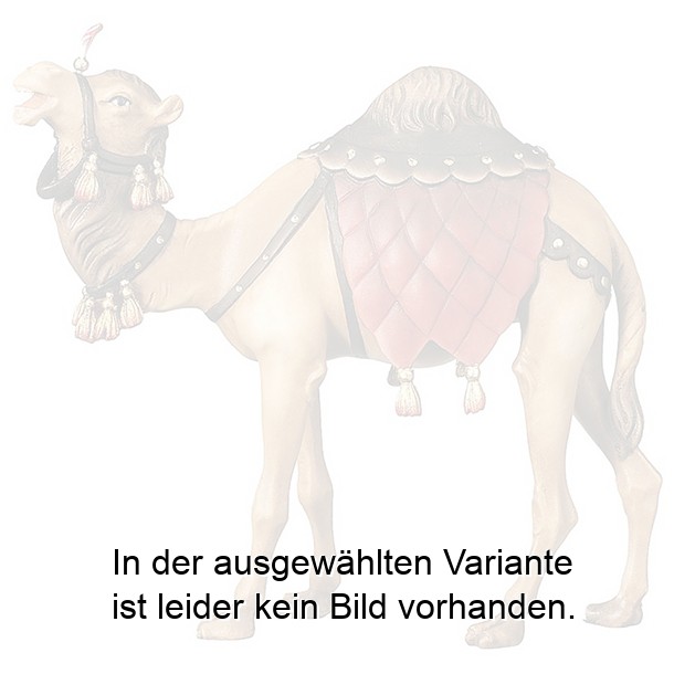 Kamel