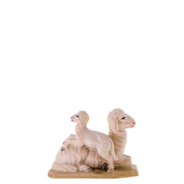 Schaf mit Lamm Schaf mit Lamm