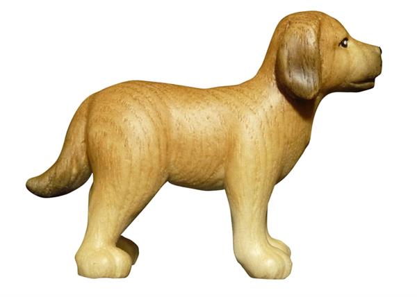 Hund Hund