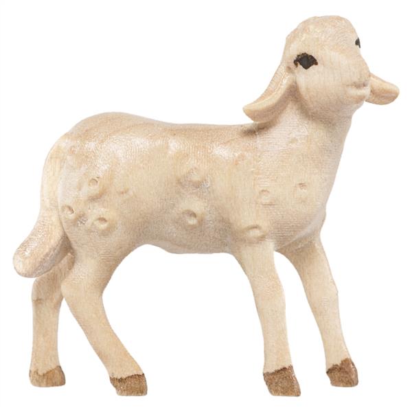 Lamm stehend Lamm stehend