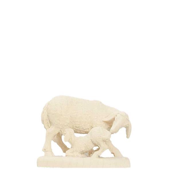 Schafgruppe Schafgruppe