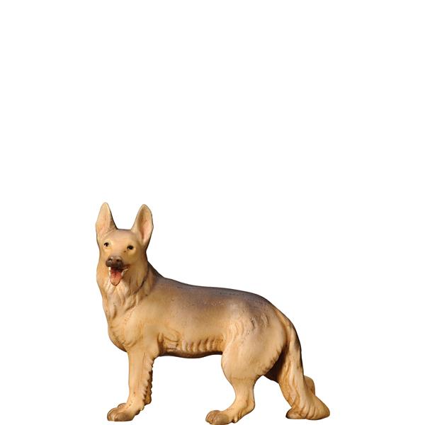 Schäferhund Schäferhund