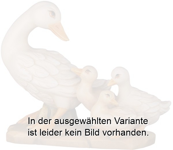 Gans mit Küken Gans mit Küken