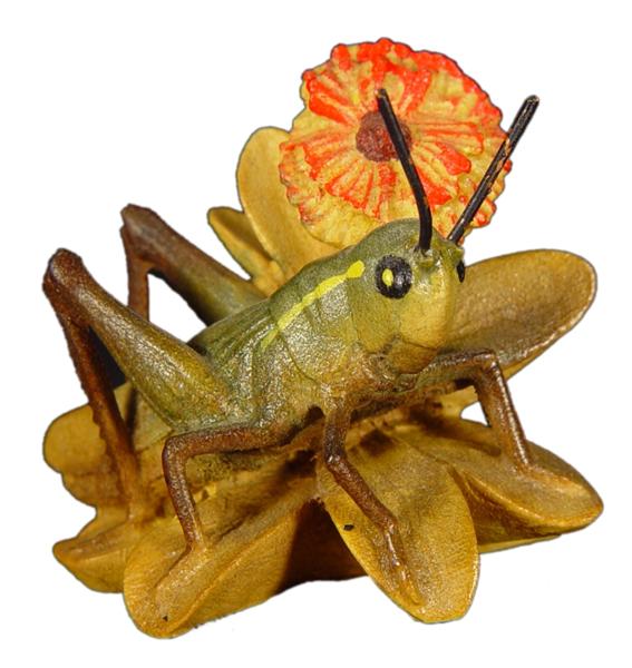 Heuschrecke Heuschrecke