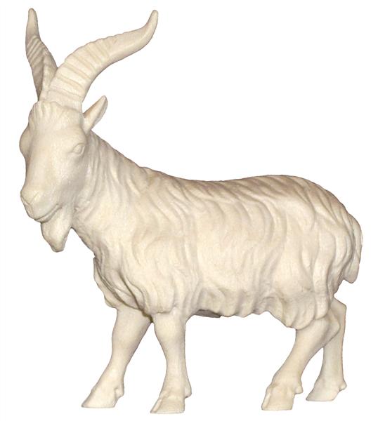 Ziegenbock Ziegenbock