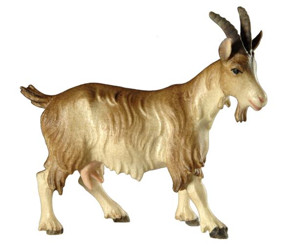 Ziege Ziege