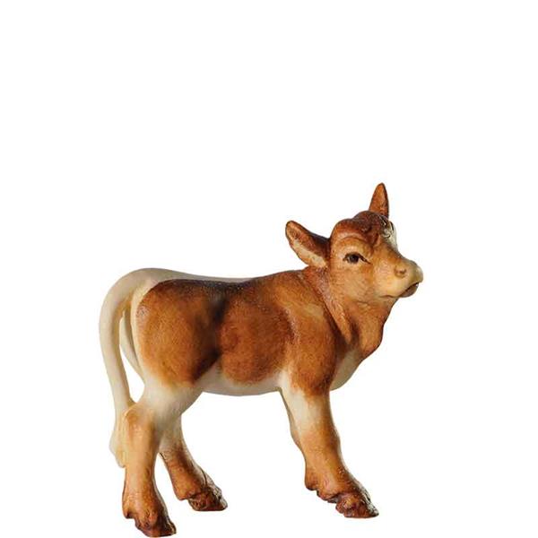Kalb stehend dunkelbraun