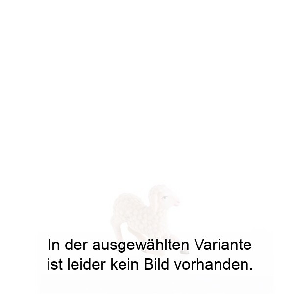 Kniendes Schaf Kniendes Schaf