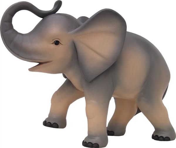 Junger Elefant Junger Elefant