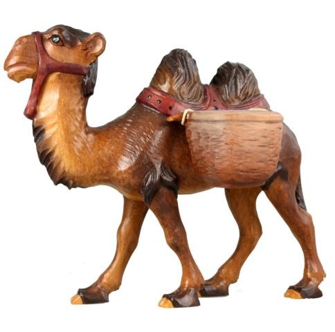 Kamel mit Gepäck