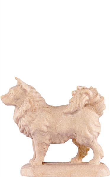 Spitzhund