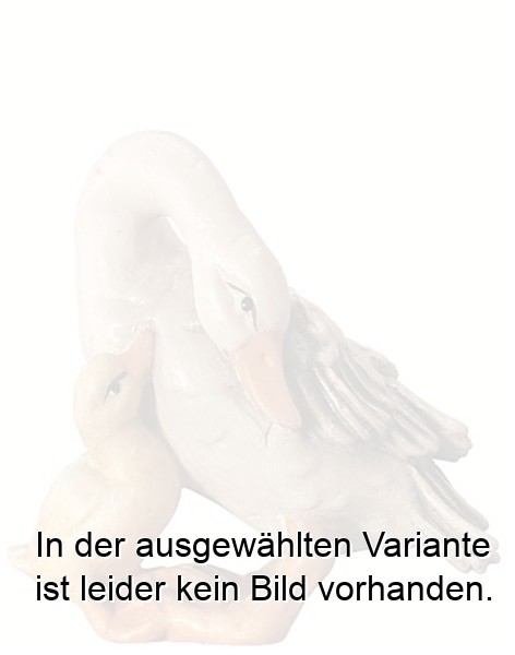 Gans mit Küken Gans mit Küken