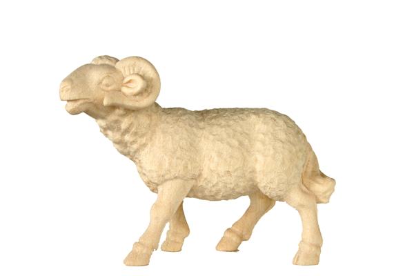 Schafbock Schafbock