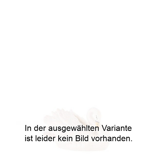 Schwan