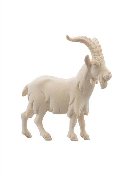 LI Ziegenbock LI Ziegenbock