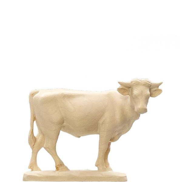 Ochs stehend Ochs stehend