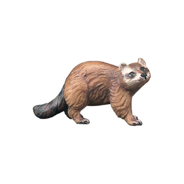 Waschbär Waschbär
