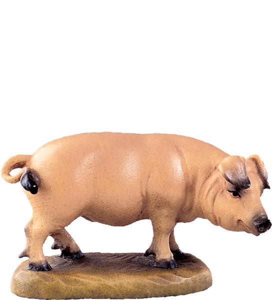 Schwein Schwein