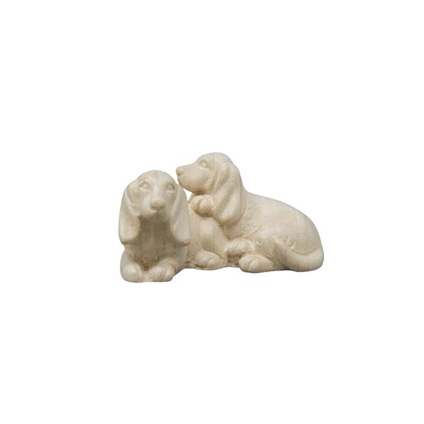 Dackelhunde