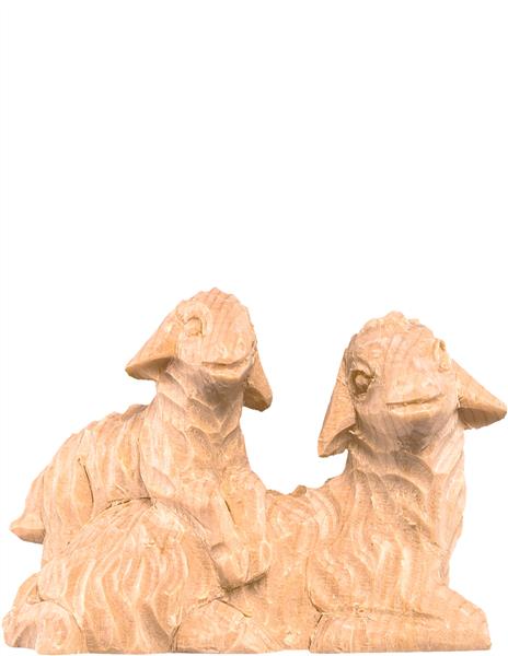 Schafgruppe liegend Schafgruppe liegend
