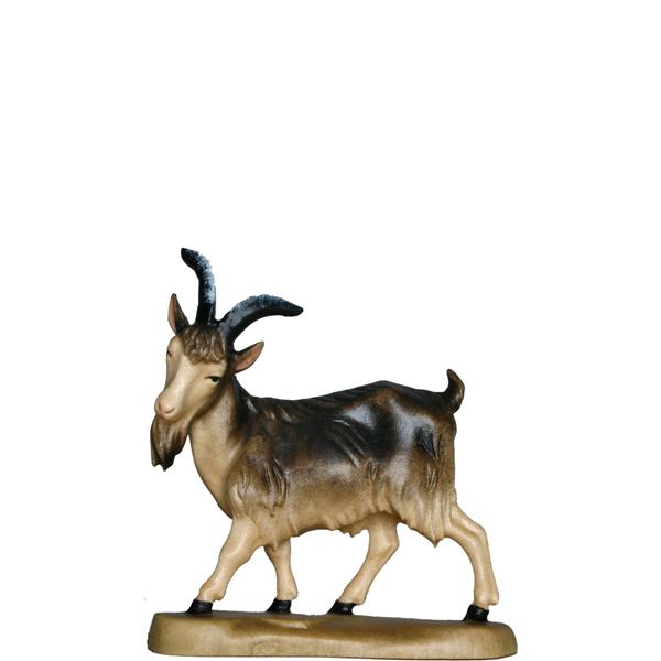 Ziegenbock Ziegenbock