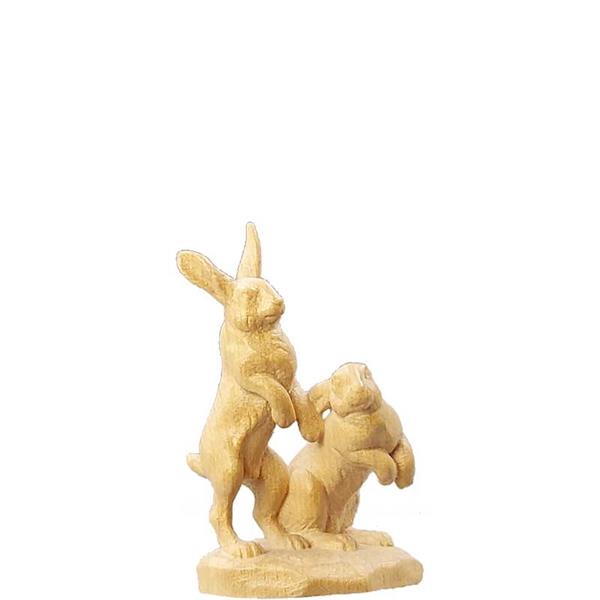 Hasengruppe Hasengruppe