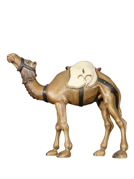 Kamel Kamel