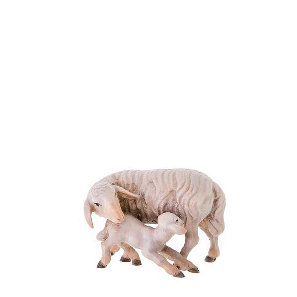 Schaf mit Lamm Schaf mit Lamm