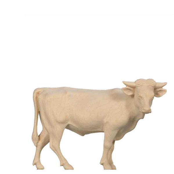 Ochs stehend Ochs stehend