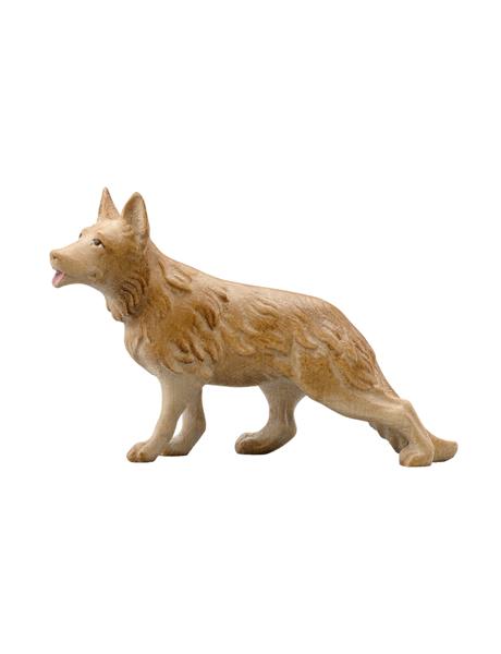 Schäferhund