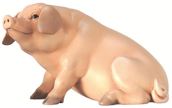 Schwein