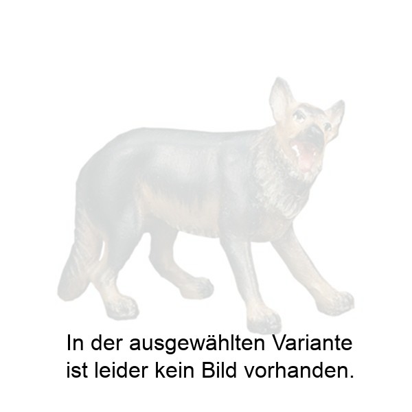 Schäferhund Schäferhund