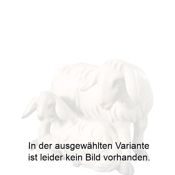 Schaf mit Lamm lovely Schaf mit Lamm lovely