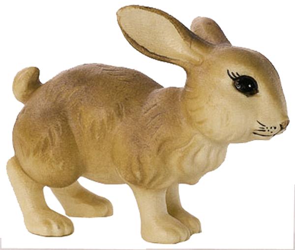 Hase hoppelnd Hase hoppelnd