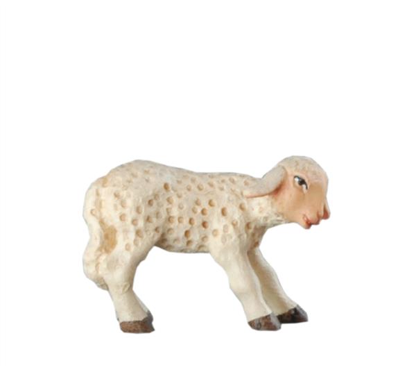 Lamm